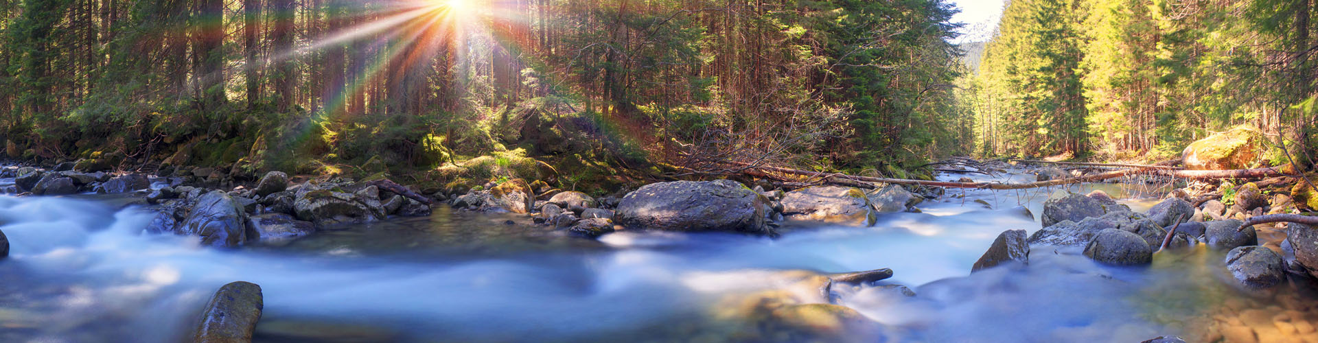 Fließender Fluss durch einen Wald, Sonnenstrahlen fallen ein; Inspiration für natürliche Grabsteine von Steinmetzbetrieb Tauchert.